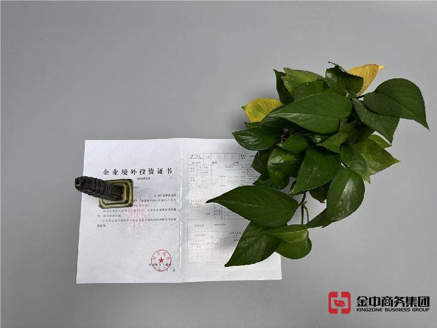 新加坡ODI备案登记